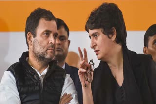 Rahul, Priyanka slam BJP govt in UP over poll violence