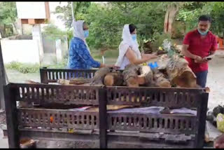 daughter in law and daughter performed the funeral rites in Aurangabad