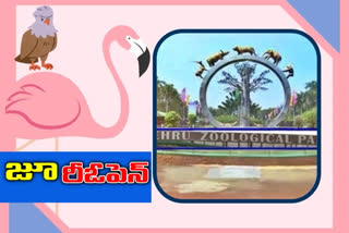 ZOO PARK: నెహ్రూ జూపార్క్‌లో రేపట్నుంచి సందర్శకులకు అనుమతి