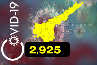 రాష్ట్రంలో కొత్తగా 2,925 కరోనా కేసులు