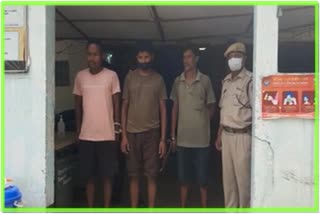 Cow thief arrested by Sapekhati Police