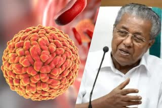CM says zika virus outbreak is not unexpected in Kerala  സിക്ക വൈറസ് ബാധ കേരളത്തിൽ അപ്രതീക്ഷിതമല്ലെന്ന് മുഖ്യമന്ത്രി  ഈഡിസ് കൊതുക്  സിക്ക വൈറസ്  സിക്ക  zika  zika virus  pinarayi vijayan