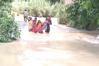 गोपालगंज में बाढ़ का कहर