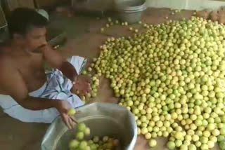 விளைச்சல் இருந்தும் உரிய விலை கிடைக்காமல் எலுமிச்சை விவசாயிகள் கவலை