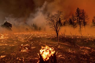 California wildfire advances as heat wave blankets US West