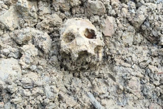 कुएं की सफाई के दौरान मिला कंकाल, Skeleton found during cleaning of well