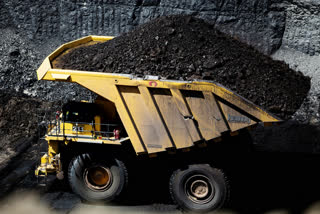 coal import