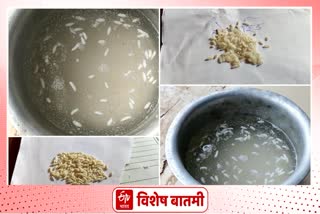 Plastic rice in school Mid day meal