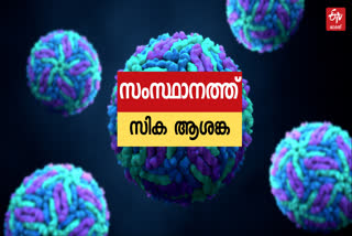 zika virus  zike virus kerala  zika virus news  kerala zika virus  സിക വൈറസ്  സിക്ക വൈറസ് വാർത്ത  കേരളത്തിൽ സിക വൈറസ്  സിക വൈറസ് ബാധിച്ചു