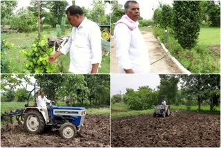former forest minister shabdasharan tadvi is cultivating himself