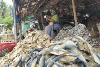 സിദ്ധർക്കാട് ഉണക്കമീൻ മാർക്കറ്റ്  ഉണക്കമീൻ  Curfew Relaxation in Tamilnadu  Dried fish market in Tamilnadu