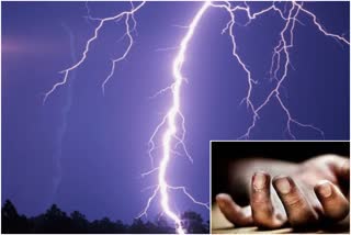 Lightning havoc,  rajasthan news