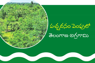 devuni-gudem-forest