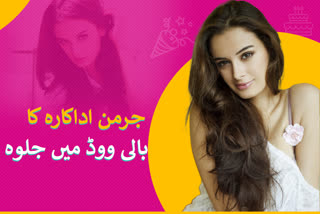 bollywood actress evelyn sharma's birth anniversary special