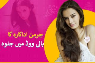 Evelyn Sharma Birth Anniversary