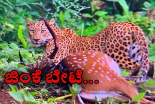 nagarhole