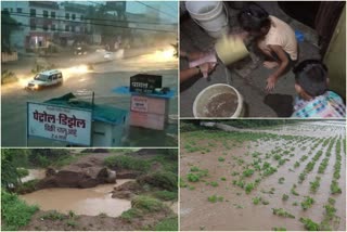 पूरामुळे अनेक गावांचा संपर्क तुटला; शेकडो संसार पाण्यात