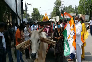 महंगाई के खिलाफ बेलगाड़ी पर कांग्रेस, Youth Congress took out bullock cart journey
