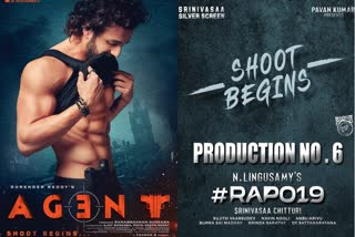 Akhil's Agent - RAPO19 Movies Shooting Starts