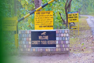 corbett tiger reserve