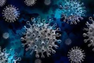 origin of the coronavirus will be known in two years