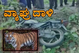 Tiger attack on Bike riders