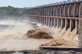 Due to heavy rains in Vidarbha, 16 gates of Hatnur dam were opened jalgaon