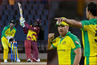 West Indies vs Australia 3rd T20I, West Indies vs Australia 3rd T20I news, West Indies won by 6 wkts, West Indies won by 6 wkts aganist Australia, ವೆಸ್ಟ್​ ಇಂಡೀಸ್​ ಮತ್ತು ಆಸ್ಟ್ರೇಲಿಯಾ 3ನೇ ಟಿ20, ವೆಸ್ಟ್​ ಇಂಡೀಸ್​ ಮತ್ತು ಆಸ್ಟ್ರೇಲಿಯಾ 3ನೇ ಟಿ20 ಸುದ್ದಿ, ವೆಸ್ಟ್​​ ಇಂಡೀಸ್​ಗೆ ಆರು ವಿಕೆಟ್​ಗಳ ಭರ್ಜರಿ ಜಯ, ಆಸ್ಟ್ರೇಲಿಯಾ ವಿರುದ್ಧ ವೆಸ್ಟ್​​ ಇಂಡೀಸ್​ಗೆ ಆರು ವಿಕೆಟ್​ಗಳ ಭರ್ಜರಿ ಜಯ,