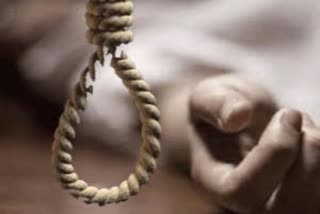 Married woman commits suicide, विवाहिता ने की आत्महत्या
