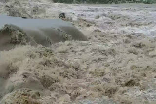 water level increased hathni kund barrage