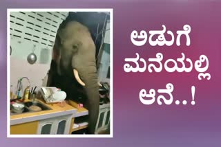 Wild elephant smashes through kitchen wall in search for snacks