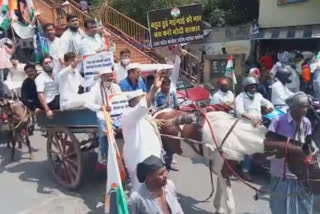 کانپور: پٹرول کی بڑھتی قیمتوں کے خلاف کانگریس کا انوکھا احتجاج