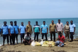 Smuggling Sea cucumber forest