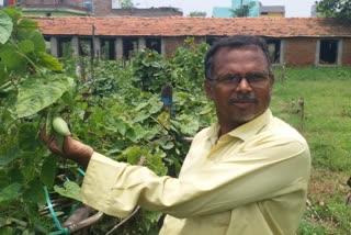 farmer-of-hazaribagh-started-cultivation-of-parwal