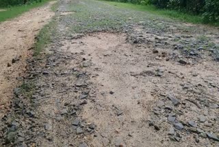 Road will be built in Naxal affected areas