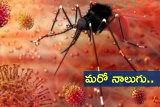 zika virus, new zika cases in kerala