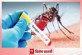 90 to 100 Dengue cases Reported at nagpur in June month