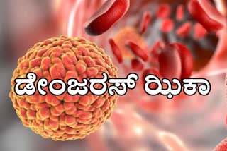 D.K DHO Warns about Zika Virus