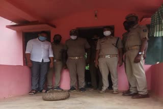 a pangolin rescued in nabrangpur