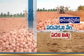 no rains at ananthapur district.. farmers problems