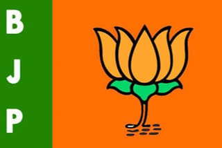 bjps-parliamentary-party-meet-likely-on-july-18
