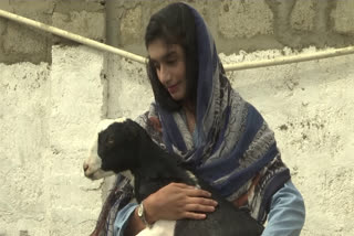 Watch: Female entrepreneur sells sacrificial animals online