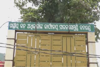 ବନ ସଂରକ୍ଷକ ସୌମ୍ୟରଞ୍ଜନ ପଟ୍ଟନାୟକଙ୍କ ମୃତ୍ୟୁ ଘଟଣାରେ ନୂଆ ମୋଡ