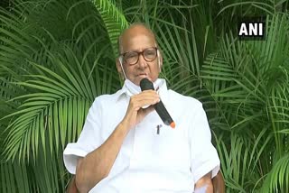 Will not be candidate for presidential election  says Sharad Pawar  രാഷ്ട്രപതി സ്ഥാനത്തേക്ക് മത്സരിക്കാനില്ലെന്ന് ശരദ് പവാര്‍  ശരദ് പവാര്‍  Sharad Pawar  ബി.ജെ.പി  bjp  രാഷ്ട്രപതി തെരഞ്ഞെടുപ്പ്  presidential election