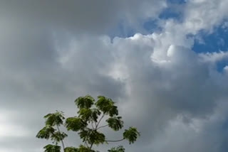 Lightning with rain forecast in 12 districts of Bihar