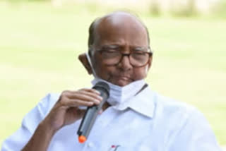 Sharad Pawar on presidential Candidate