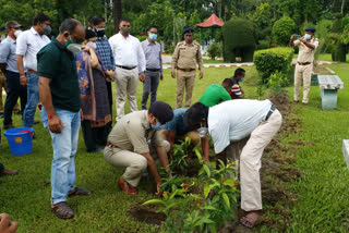 bengal forest department to plant trees in 240 hectare land
