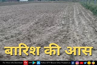 firozabad farmers face problems