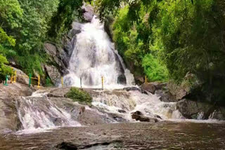 monkey falls rain  தென்மேற்கு பருவமழை  ஆழியார் கவி அருவி  வெள்ளப்பெருக்கு  ஆழியார் கவி அருவியில் வெள்ளப்பெருக்கு  flood in monkey falls due to rain  due to heavy rain flood in monkey falls  pollachi flood in monkey falls due to rain  coimbatore news  coimbatore latest news  கோயம்புத்தூர் செய்திகள்  கோயம்புத்தூர் பொள்ளாச்சி ஆழியார் கவி அருவியில் வெள்ளப்பெருக்கு