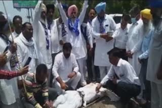 Shiromani Akali Dal and BSP have cremated the precious effigy of Gagan Mann